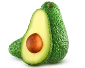 AVOCADO