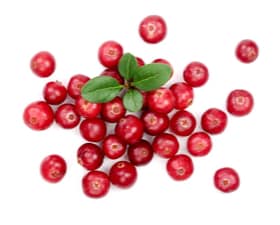 BERRIES - CRANBERRIES 125GRMS