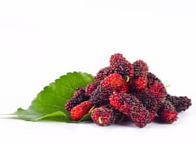 BERRIES - MULBERRIES 125GRMS