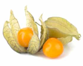 BERRIES - PHYSALIS 125GRMS