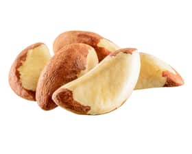 BRAZIL NUTS
