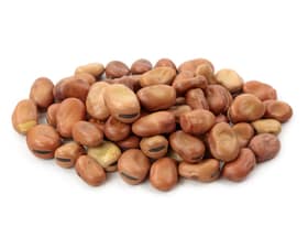 BEANS - BROAD DRIED