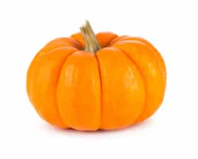 PUMPKIN - HALLOWEEN