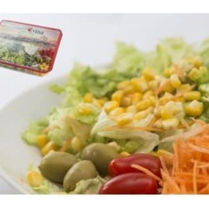 SALAD - SAJF
