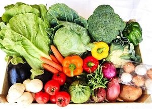 BOX OFFER - XANDRU'S VEGGIE BOX
